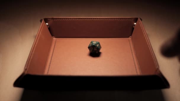 Sided Dice Dropping Dice Tray Slow Motion — Stock Video