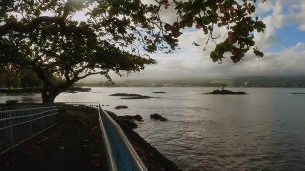 Koa Trees Hilo Bay Hawaii Золотий День Частково Хмарне Небо — стокове відео