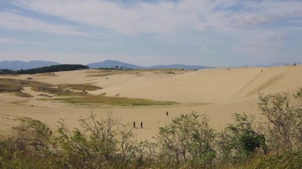 Dunes Sable Désert Japon Tottori Sakyu Honshu — Video