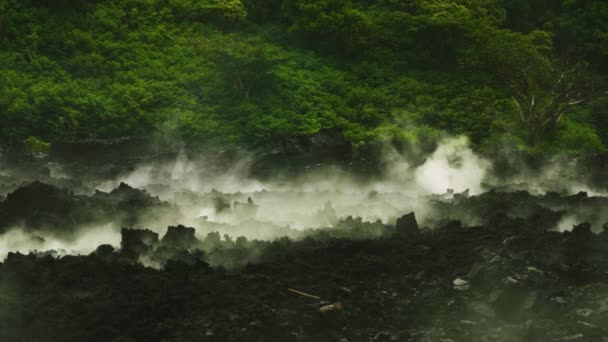 Volcanic Thermal Smoke Rises Black Ash Ground Lava Flow Stays — Stock Video