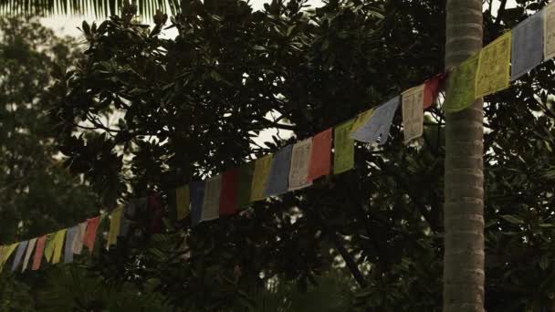 Drapeaux Prière Tibétains Accrochés Près Arbre Dans Temple Bouddhiste Images — Video