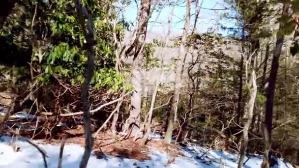 Caça Homem Pontos Vista Inverno Perdido Floresta Busca Salvamento Caça — Vídeo de Stock