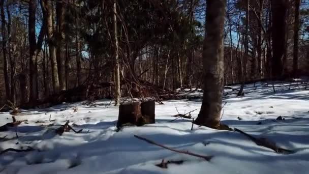 Schneerettung Winter — Stockvideo