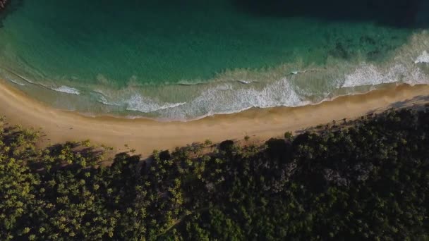 Birdseye Kilátás Playa Grande Bay Aragua Állam Venezuela Serpenyő Jobbra — Stock videók