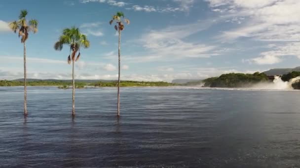 Пальмы Чагуарамоса Лагуне Канайма Национальный Парк Канайма Венесуэла Панорамная Кривая — стоковое видео