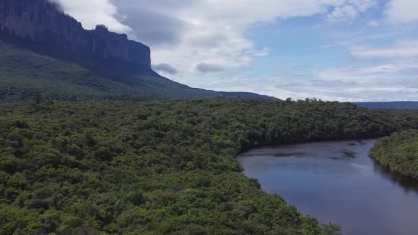 一条河流Auyantepuy Mesa和委内瑞拉卡奈马国家公园亚马逊雨林的空中景观放大了 — 图库视频影像