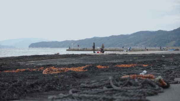 Kuzey Kyoto Balıkçı Rıhtımı Halatlardan Balıkçıya Odaklan — Stok video