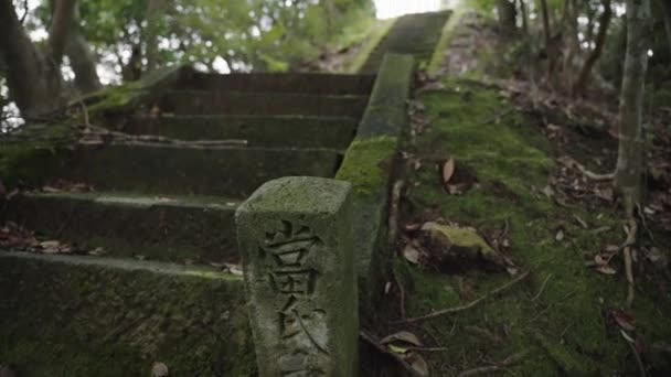 日本の田舎のモッシー階段が丘の頂上につながる — ストック動画