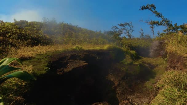 火山水蒸気と地球の溶岩チューブからの霧の流れ 火山島で撮影 青い空 苔と緑の地球の熱 — ストック動画