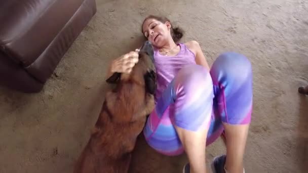 Top Kilátás Boldog Vesz Szabadidőt Kutyájával Otthon Pihen Nagy Kutyájával — Stock videók