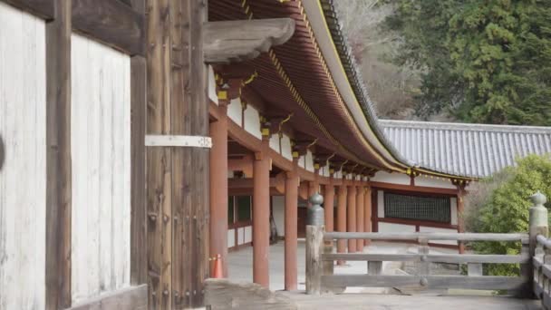 Todaiji Hallways Східний Великий Храм Нара Японії Панорама Людей — стокове відео