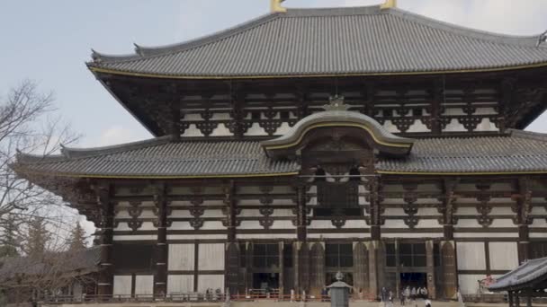 Todaiji Great Eastern Temple Giant Wooden Structure Pan Shot Nara — Stock Video