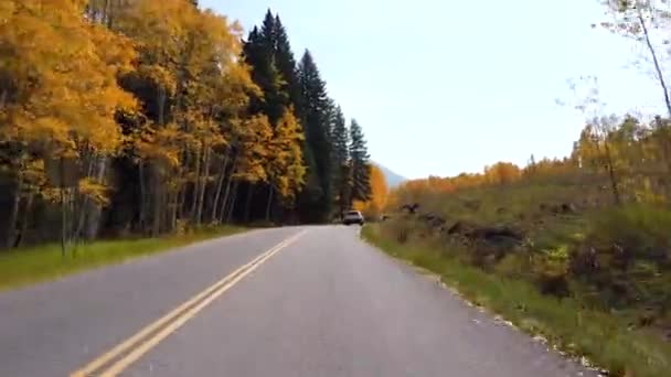 Imágenes Pov Conducción Las Montañas Rocosas Colorado Temporada Otoño — Vídeo de stock