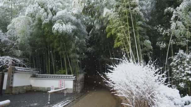 Arashiyama Bambu Grove Entré Snöfall Slow Motion — Stockvideo