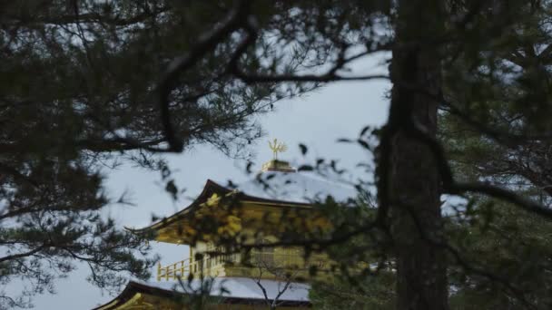 Taket Kinkaku Temple Snö Genom Träd Grenar — Stockvideo