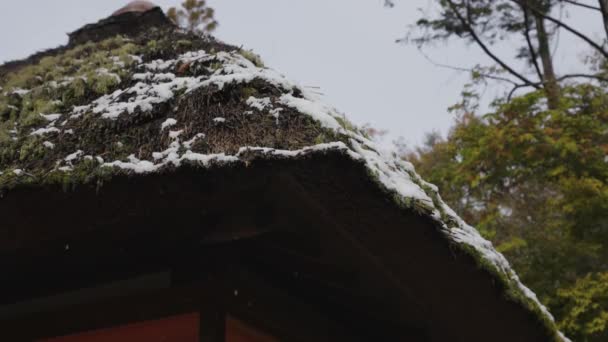 Nieve Tejado Paja Del Antiguo Edificio Japonés Kyoto — Vídeos de Stock