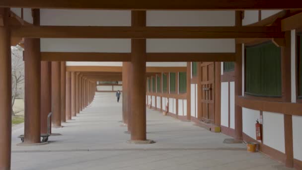 Leere Halle Todaiji Nara Japan Tourismus Nach Pandemie Gesperrt — Stockvideo