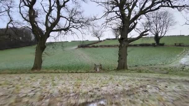 Drone Shot Flying Small Footbridge Winter Valley — Stock Video
