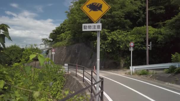 Vaddisznó Figyelmeztető Jel Vidéki Úton Japánban Tilt Shot — Stock videók