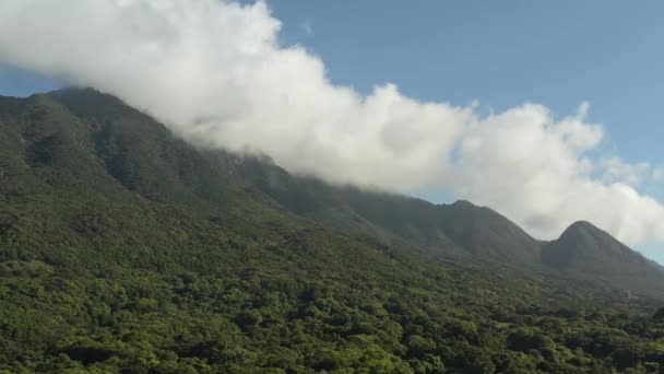 Yakushima Hegyei Vad Erdő Megszelídítetlen Japán Szigeten — Stock videók