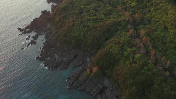 Yakushima Adası Nın Kıyı Şeridinde Sunset Ormanı Nın Üzerinde Uçuyor — Stok video
