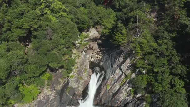 Toroki Wasserfälle Üppige Landschaft Von Yakushima Japan — Stockvideo