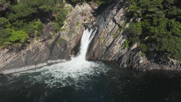 Torohki Falls Tilt Aerial Waterfall Isla Yakushima Sur Japón — Vídeo de stock