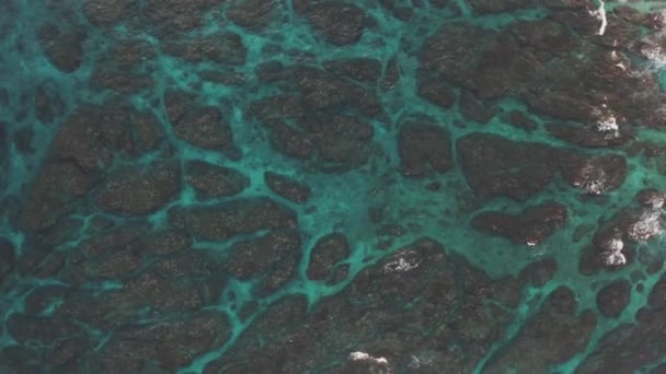 Yakushima Island Top Aerial View Tsukasaki Tide Pool Reef — 비디오