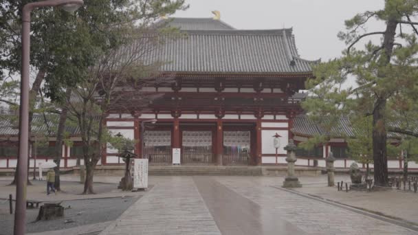 Пусті Вулиці Виході Храму Тодайджі Нара Японія День Дощу — стокове відео