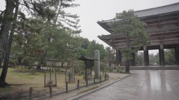 Порожні Вулиці Нари Людей День Дощу Храмі Тодайджі Японія — стокове відео