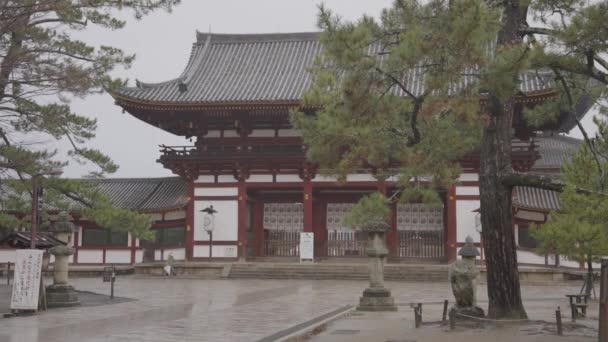 Одинока Людина Парасолькою Йде Повз Храм Тодайджі Штат Нара Дощовій — стокове відео