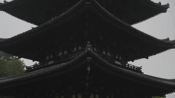 興福寺 暗いムーディーの日 背の高い塔の上に傾ける — ストック動画