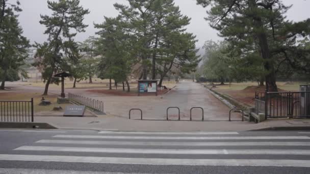 Nara Park Obvykle Zaneprázdněn Turisty Prázdné Pandemické Uzamčení Pan Shot — Stock video
