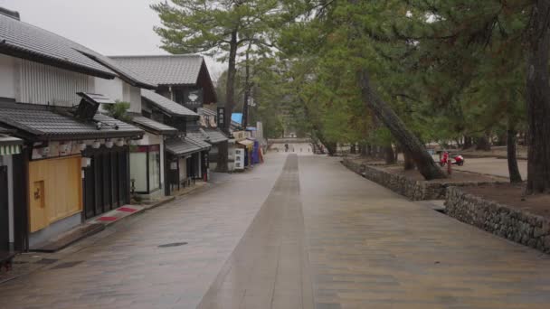 Nara Park Tiendas Cerradas Sin Personas Durante Cierre Pandemias Japón — Vídeo de stock