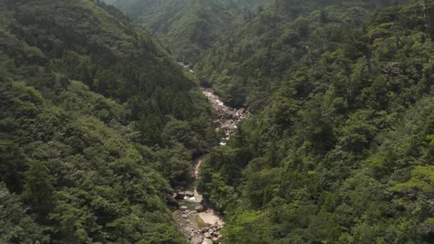 屋久島のモノノケの森 滝の空中傾きを明らかにする — ストック動画