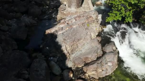 Sungai Pristine Melalui Hutan Yakushima Mengungkapkan Reruntuhan Jembatan Tua Jepang — Stok Video