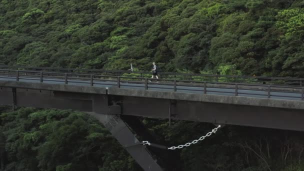 横越桥 背景森林 追踪镜头的人 日本横岛 — 图库视频影像