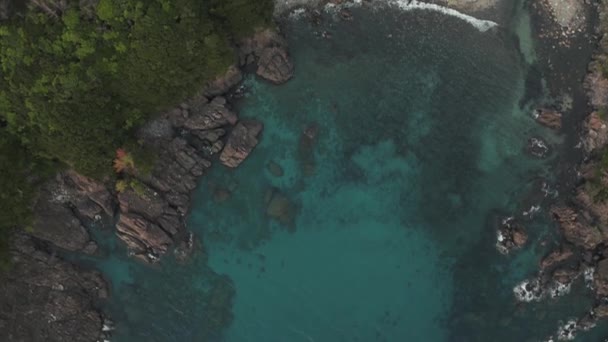 Widok Lotu Ptaka Rocky Cove Yakushima Japan Tilt Reveals Wodospad — Wideo stockowe