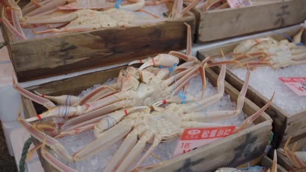 Cangrejos Japoneses Frescos Vivo Mercado Pescado Kinosaki Onsen Town — Vídeos de Stock