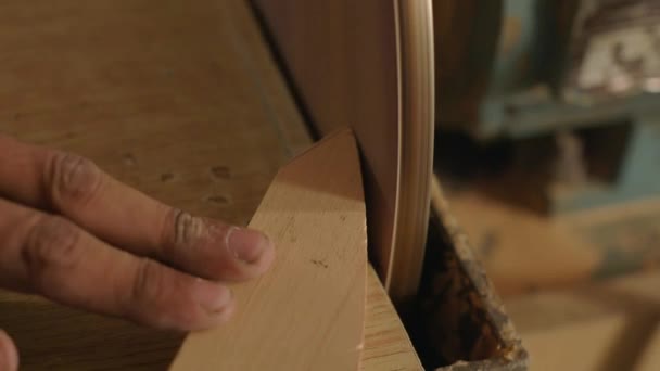 産業用木材加工機で木材を切断するショット — ストック動画