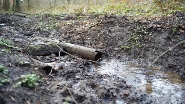 Agua Que Sale Una Pequeña Tubería Agua Rota — Vídeos de Stock