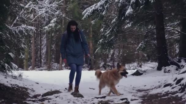 Chica Paseando Perro Bosque Nieve Suelo Tiempo Invierno Tiro Medio — Vídeo de stock