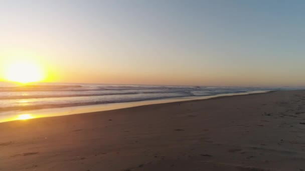 Drone Volando Bajo Largo Orilla Playa Con Surfistas Corriendo Para — Vídeo de stock