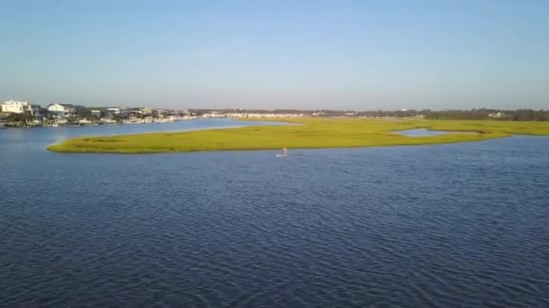 Volano Mattutino Paddleboarder Lees Cut Wrightsville Bach North Carolina — Video Stock