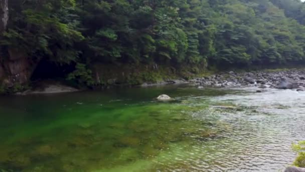 Yakushima Shiratani Unsuikyo Ormanı Ndan Akan Zümrüt Arakawa Nehri — Stok video