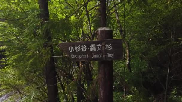 Jomon Sugi Kosugiarani Forest Trail Path Sign Yaksuhima Island Japan — 비디오