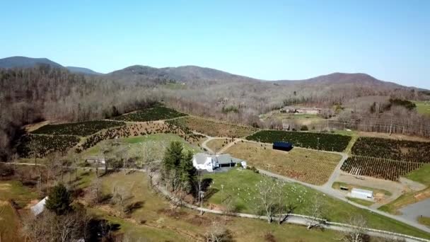 Campo Carne Carolina Del Norte Cerca Boone Carolina Del Norte — Vídeo de stock