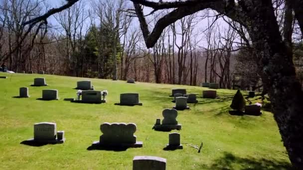 목석으로 나무를 카롤리나 묘지로 이동하다 — 비디오