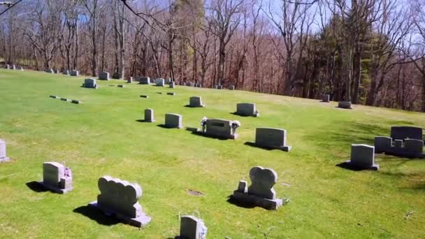 4Kの木の枝空中墓 — ストック動画