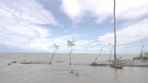 Der Wasserstrom Eines Flussdorfes Dem Bäume Nach Der Flut Unter — Stockvideo